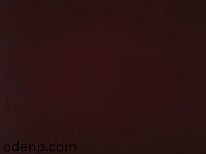 /static/img/3547472874183177-2025-01-12 21-54-43_image_1.webp